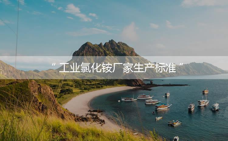 工業(yè)氯化銨廠家生產(chǎn)標(biāo)準(zhǔn)，生產(chǎn)過(guò)程進(jìn)行嚴(yán)密的監(jiān)控！